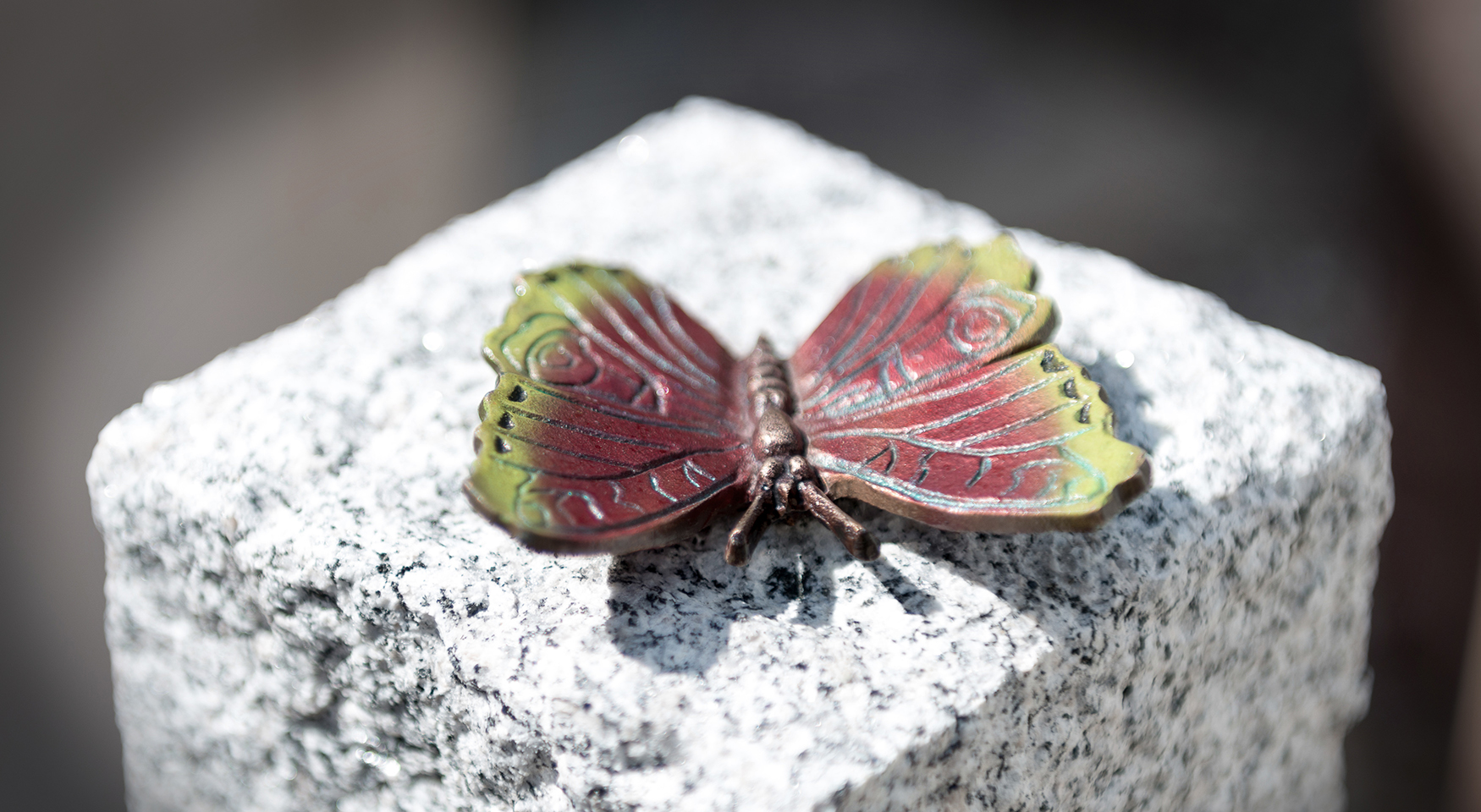 Stein mit buntem Schmetterling von Braun + Kohler Steinmetz